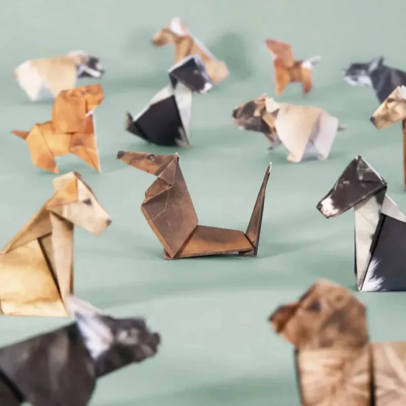 ชุดงานฝีมือพับกระดาษ DIY สร้าง - Art Craft Dinosaur บทวิจารณ์และราคา