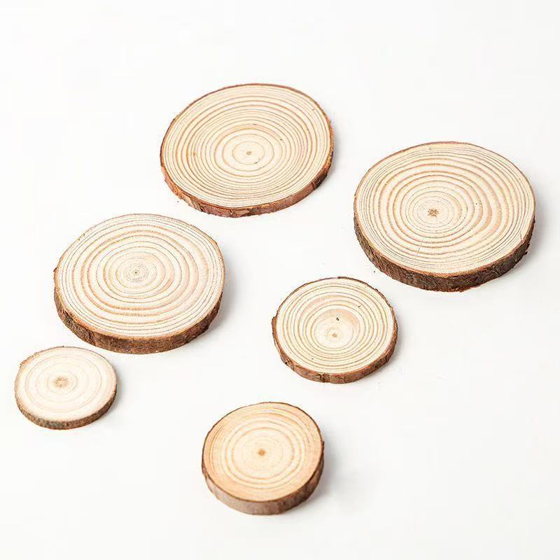 ชุดไม้สนธรรมชาติขนาด 2-30 ซม.  - Art Craft Tree บทวิจารณ์และราคา