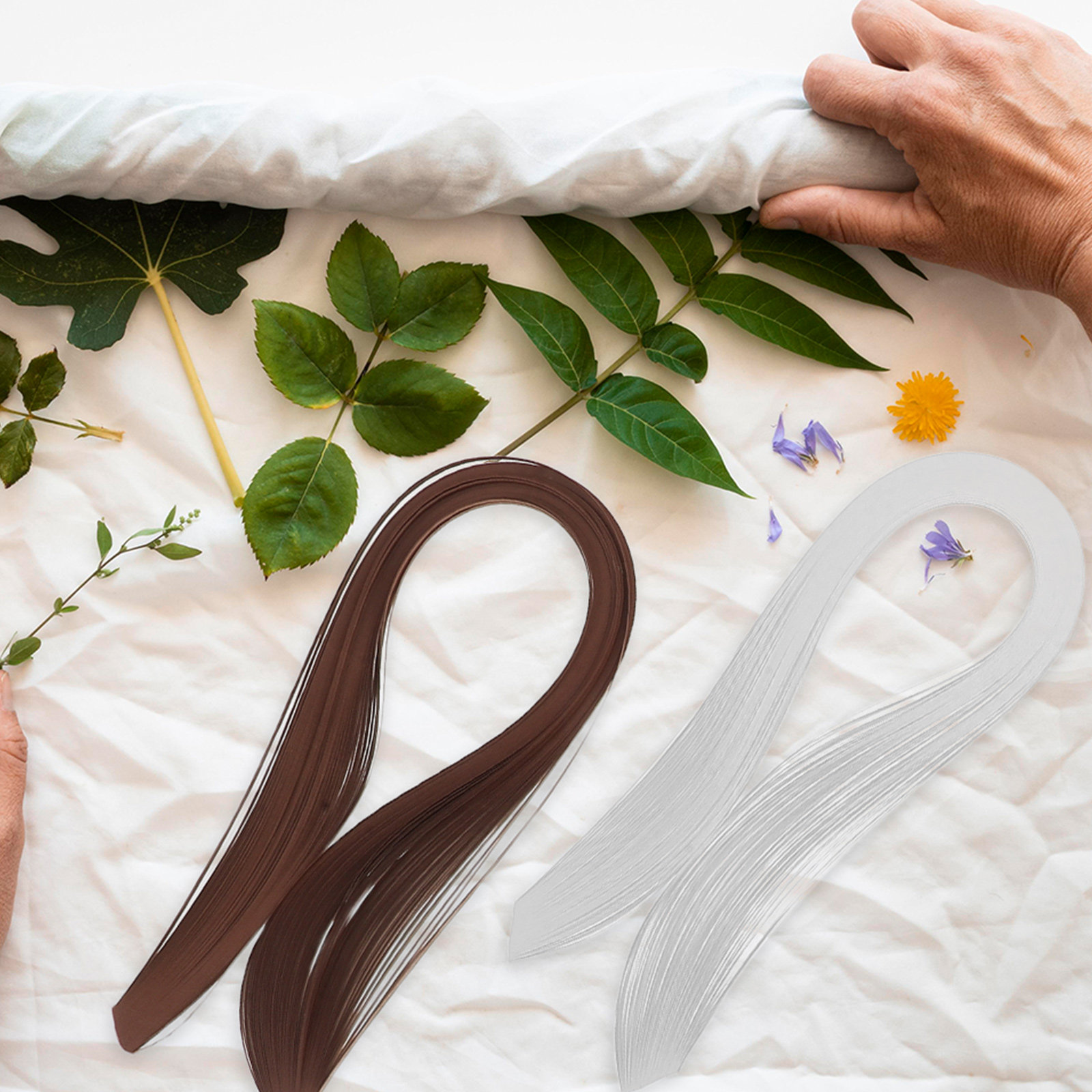 ชุดกระดาษควิลลิ่ง 720 ชิ้น ขนา - Quilling Paper Strips บทวิจารณ์และราคา